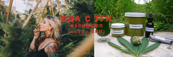 индика Алексин