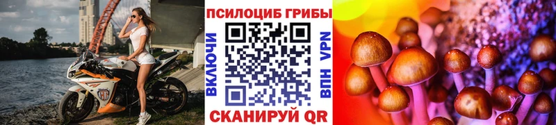 Псилоцибиновые грибы мицелий  KRAKEN вход  Кирово-Чепецк 